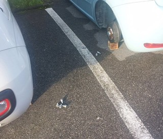 Via Enrico Caruso, la “notte delle ruote”: furti nei parchi residenziali