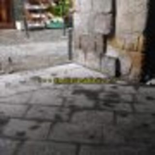 Il predatore (racconto di Emilia Sensale)