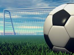 INIZIA IL PRECAMPIONATO DEI VIOLA