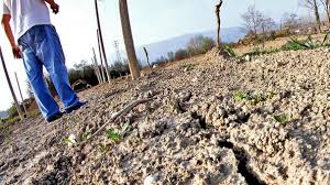 Problema siccità Campania: prodotti petroliferi per l’irrigazione