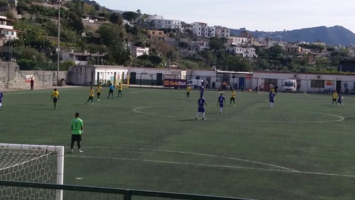 I VIOLA TORNANO DA FORIO D’ISCHIA CON TRE PUNTI D’ORO
