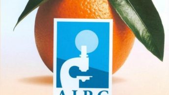 Tornano le “Arance della Salute” di AIRC: a Casoria per combattere il cancro!