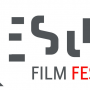 VESUVIUS FILM FESTIVAL CONCORSO DI CORTOMETRAGGI DEL  SOCIALE E DELLE ARTI, II EDIZIONE