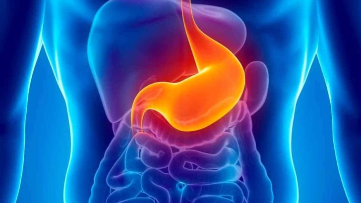 TUMORE ALLO STOMACO: POCHI CENTRI DI CURA, 3200 PAZIENTI SENZA RIMBORSO PER GLI INTEGRATORI, SENSORI PER LA GLICEMIA GRATIS SOLO IN EMILIA ROMAGNA