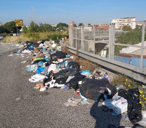 Rifiuti, Borrelli (Verdi): “Enormi disagi tra Napoli, Casavatore e Casoria.