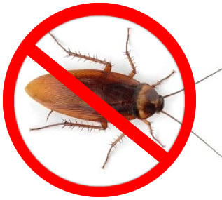 Programmati a luglio gli interventi di deblattizzazione