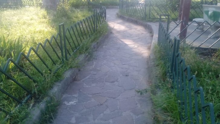 PHOTOGALLERY – Puliti i giardinetti e l’area nei pressi della Stazione