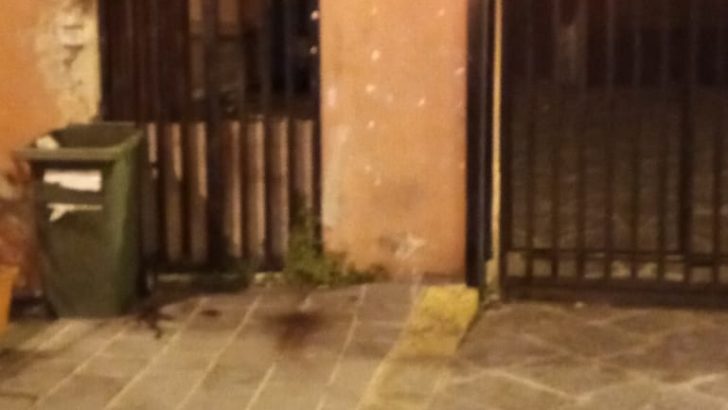 Casoria Ambiente risponde alle segnalazioni: “Fate la raccolta differenziata e rispettate le regole”