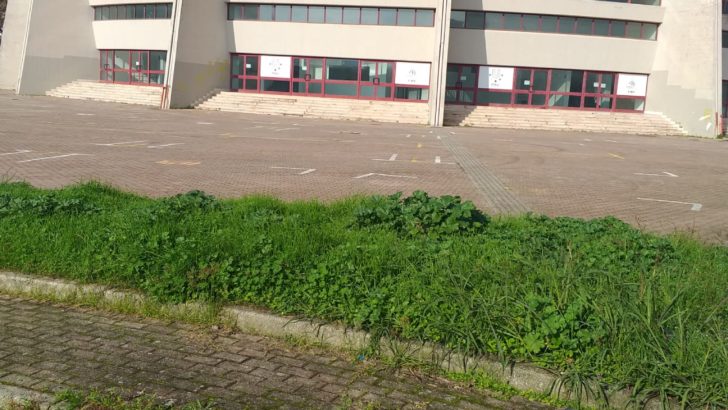 Da martedì screening straordinario al PalaCasoria con l’ausilio dell’Esercito