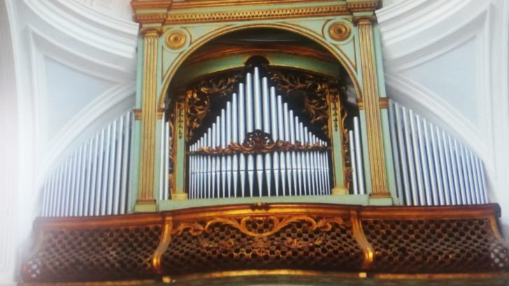 Associazione Medici Cattolici, la messa in streaming domenica 13 dicembre