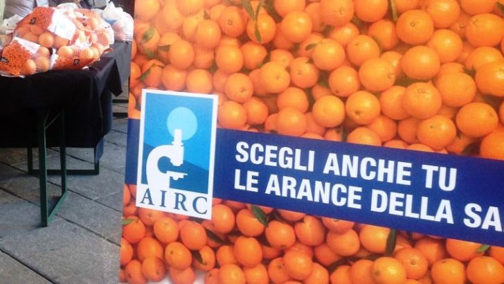 Tornano le arance della salute di Airc