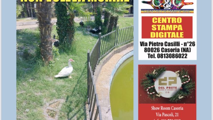 [27-11-2022] Casoriadue – N. 245