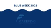 Al via domenica 28 maggio la Blue Week 2023 di Marevivo Sorrento.