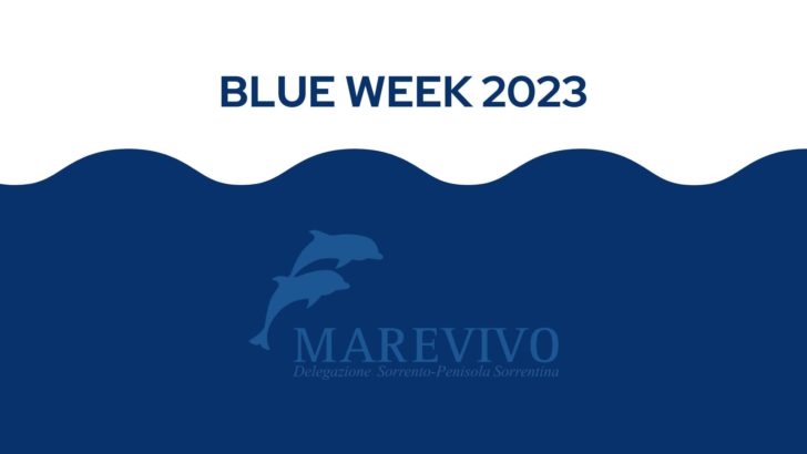 Al via domenica 28 maggio la Blue Week 2023 di Marevivo Sorrento.