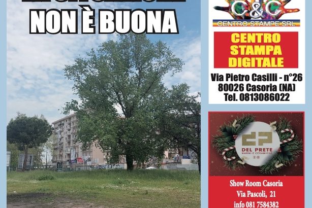 [07-05-2023] Casoriadue – N. 268