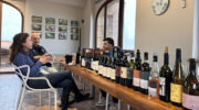 “La Grande Bellezza”, degusta vini d’eccellenza a Napoli