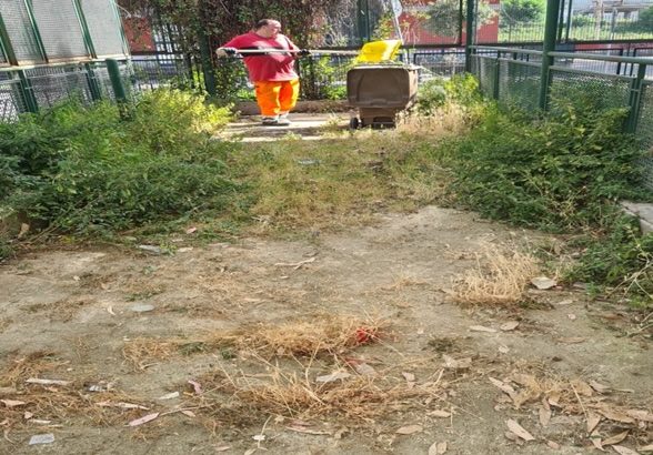 I giardinetti di fronte alla stazione ripuliti questa mattina, ma il degrado resta una minaccia