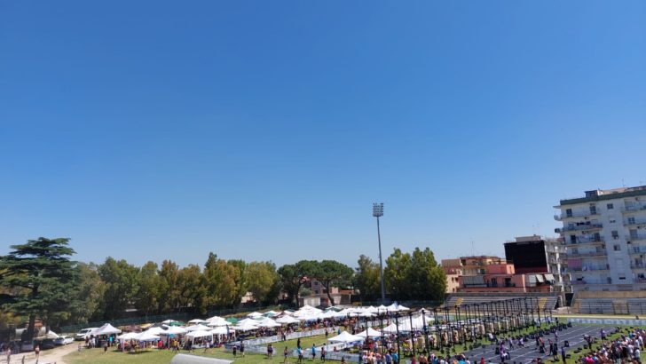 Chi sono i responsabili del settore sportivo a Casoria?