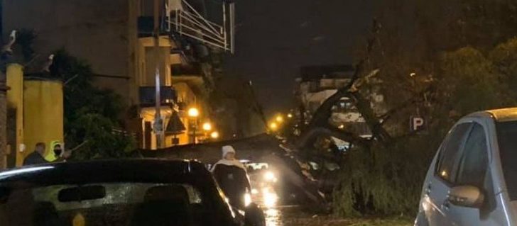 La denuncia dell’Anida: “Riparate il manto stradale di via Duca D’Aosta”