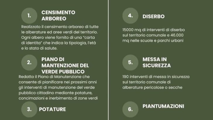 L’impegno del Comune di Casoria nel 2025 per il verde