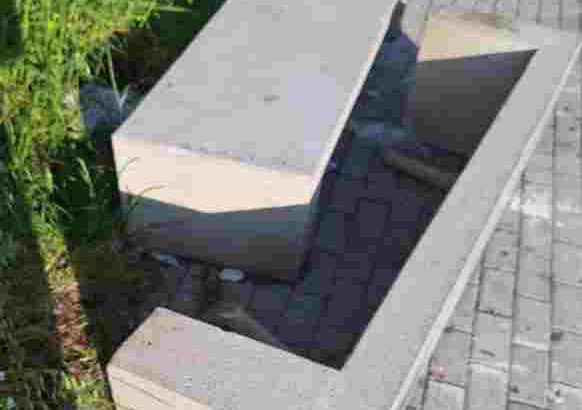 Pista ciclabile del Funteam, dopo la potatura serve un intervento completo