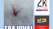 [21-06-2026] Casoriadue – N. 414