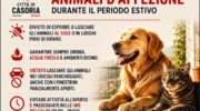 Ordinanza del sindaco sulla tutela degli animali d’affezione, il parere di Cristarelli, Mangani e Valiante