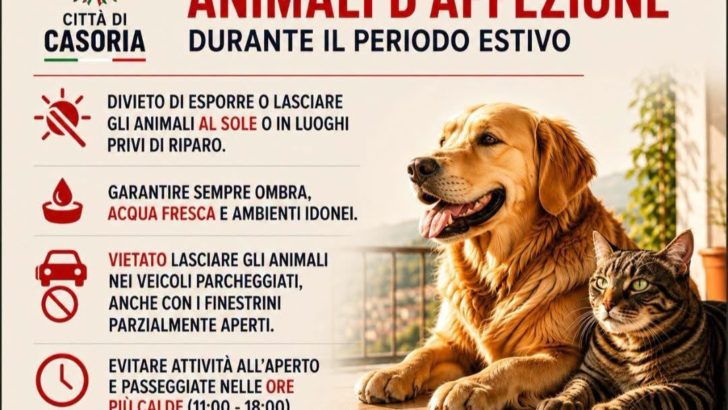Ordinanza del sindaco sulla tutela degli animali d’affezione, il parere di Cristarelli, Mangani e Valiante