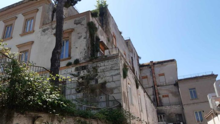 Maria Tommasina D’Onofrio, già Assessore al Comune di Casoria, dirigerà l’Istituto Martuscelli
